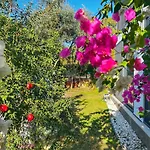 Peacefull Vacation In Newly Designed