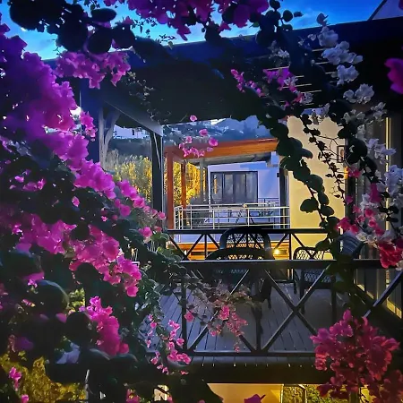 Peacefull Vacation In Newly Designed