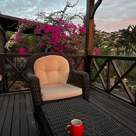 Peacefull Vacation In Newly Designed 빌라