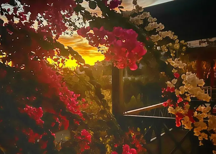 Peacefull Vacation In Newly Designed Villa *