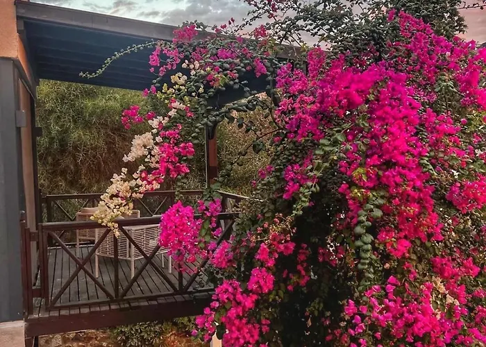 Peacefull Vacation In Newly Designed فيلة *