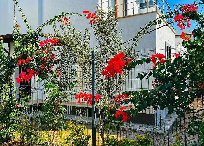 فيلة Peacefull Vacation In Newly Designed