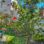 וילה Peacefull Vacation In Newly Designed *