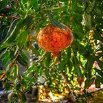 Βίλα Peacefull Vacation In Newly Designed Karaincir