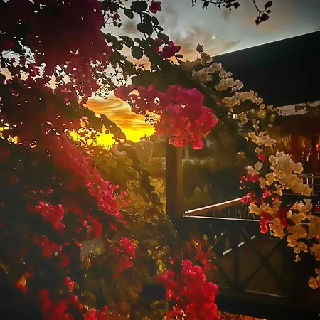 Peacefull Vacation In Newly Designed ヴィラ *