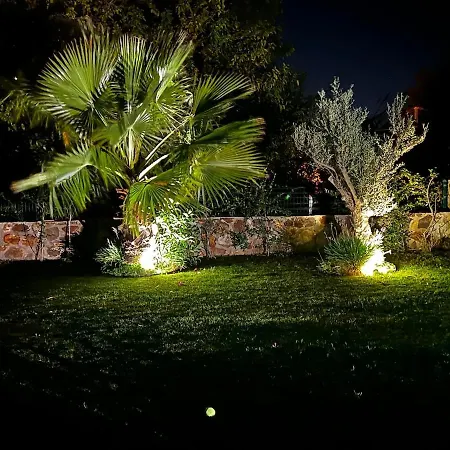 Peacefull Vacation In Newly Designed