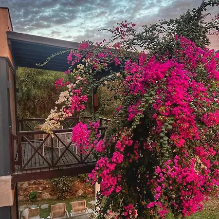 Peacefull Vacation In Newly Designed ヴィラ *