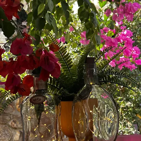 ヴィラ Peacefull Vacation In Newly Designed