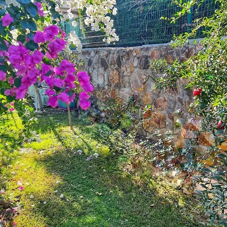 Peacefull Vacation In Newly Designed * Karaincir