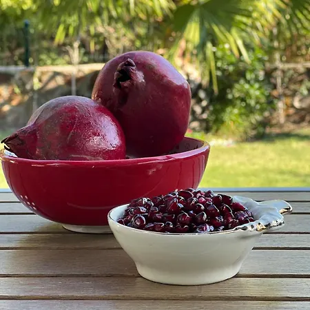 ヴィラ Peacefull Vacation In Newly Designed Karaincir