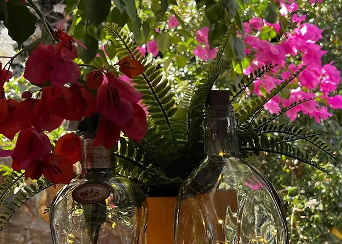 Vila Peacefull Vacation In Newly Designed