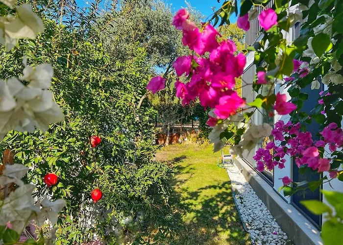 Peacefull Vacation In Newly Designed