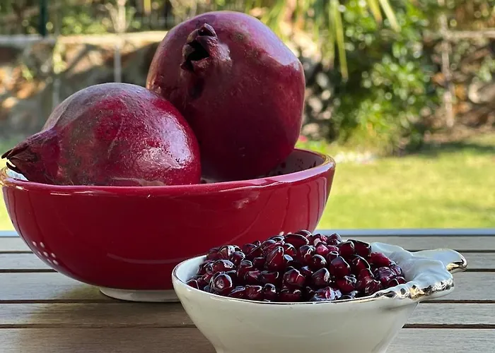 Vila Peacefull Vacation In Newly Designed Karaincir