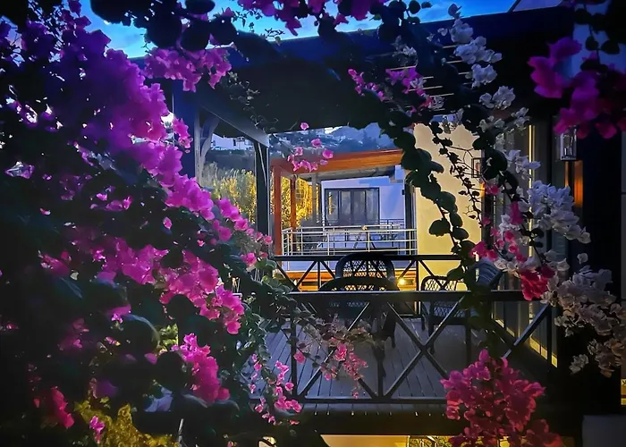 Peacefull Vacation In Newly Designed