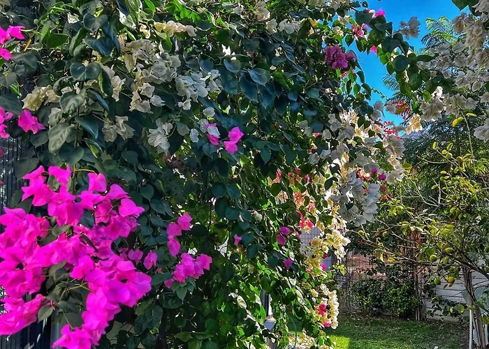 Peacefull Vacation In Newly Designed